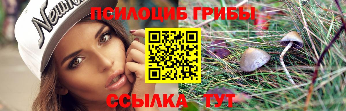 Псилоцибиновые грибы Psilocybine cubensis  Вход с VPN  Балахна  Галлюциногенные грибы Cubensis 